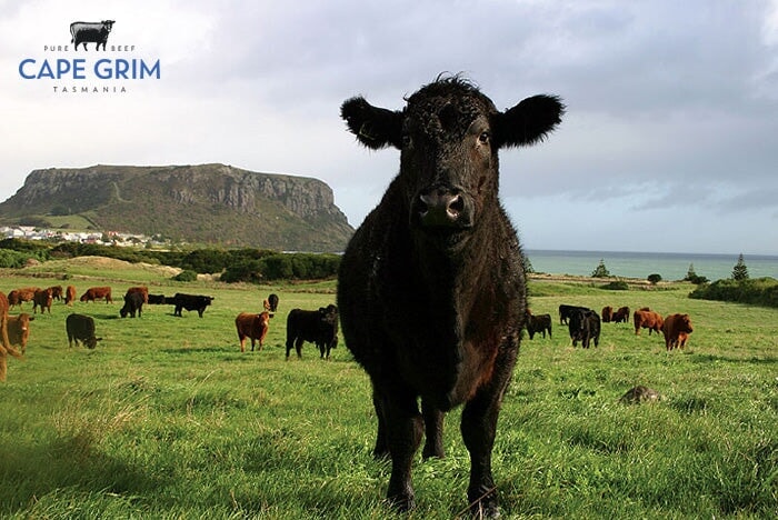Sustainable Butchery: Nourishing the Future with Ethical Choices ...