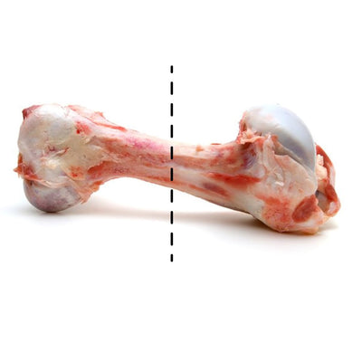 Organic Marrow Bone Half Cut (Femur Bone) | $7.99kg