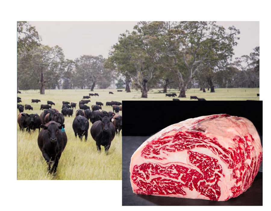 Black Opal Wagyu Beef Eye Fillet MB 8-9 | $164.99kg