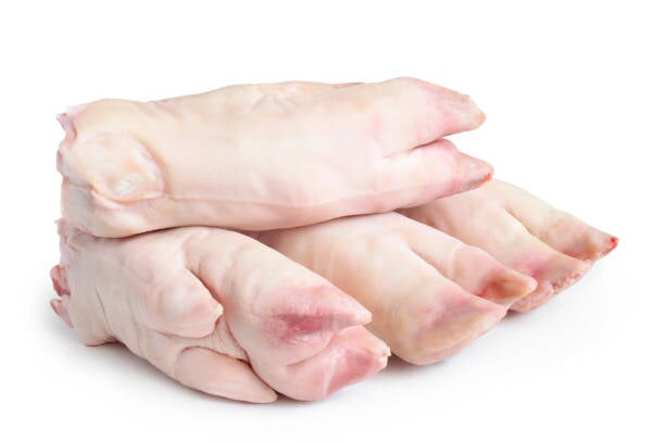 Pork Trotter